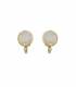 Oorclips | feestelijke oorclips wit met een goudkleurig detail